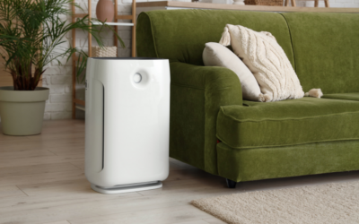 Top 3 Air Purifiers for Allergy Sufferers in Sydney