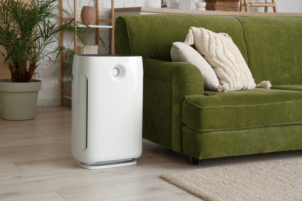 air purifiers for allergy sufferers